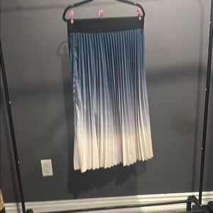 Elegant Ombre Pleated Skirt